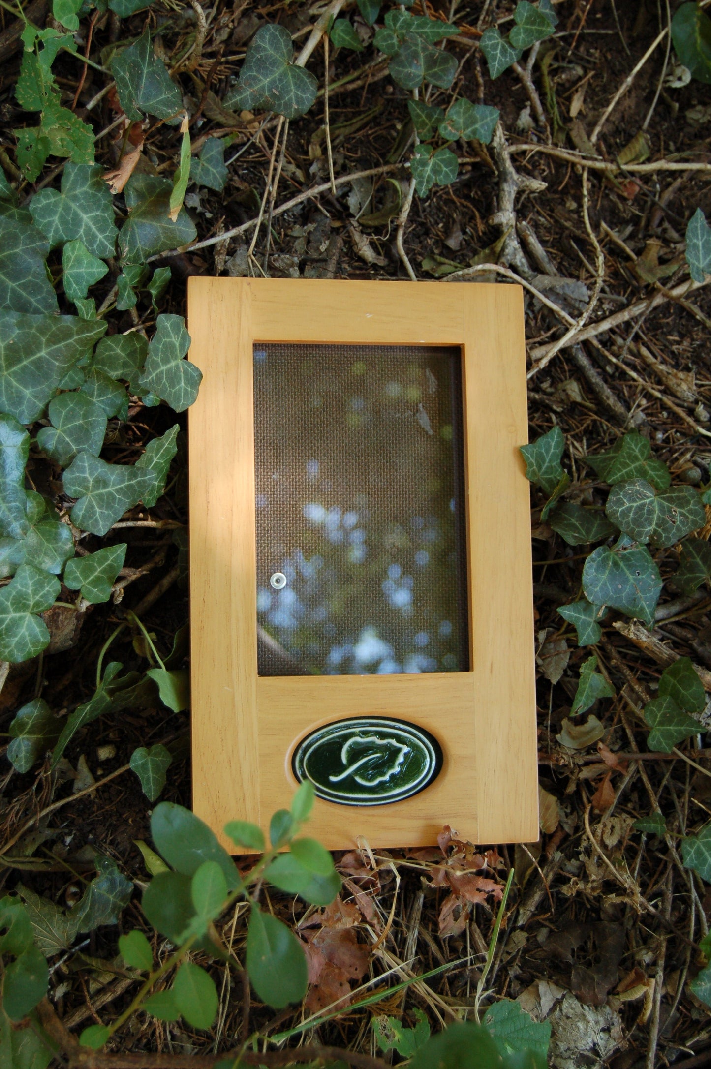 Rare Woods Picture Frame