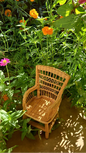 Wicker Daydream