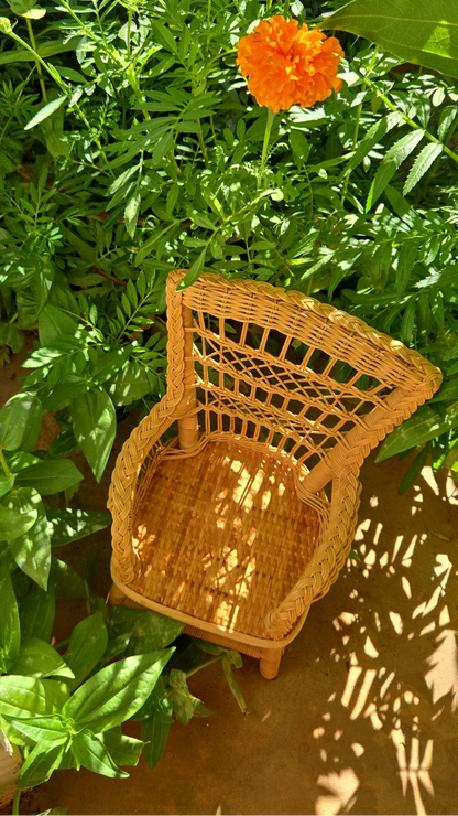 Wicker Daydream